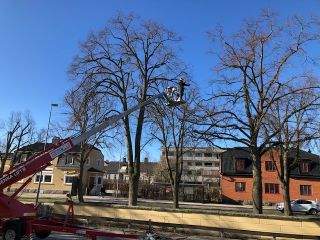 2021-09/13eb5bbd-76cd-4e3a-a0e5-9b67d6cfcdef