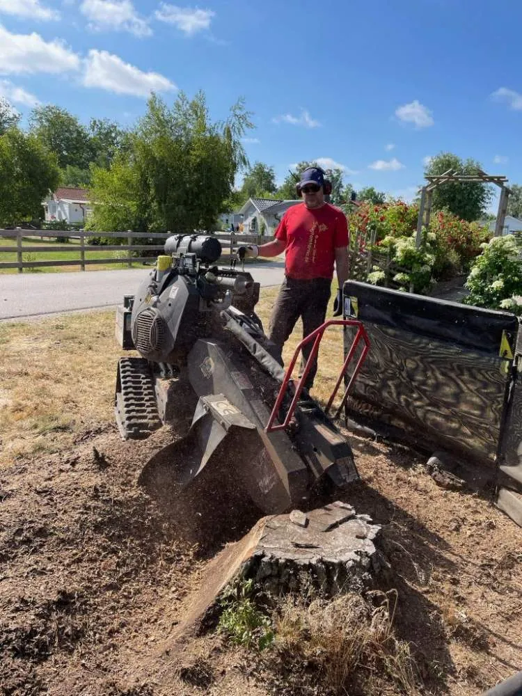 Stubbfräsning i villaområde